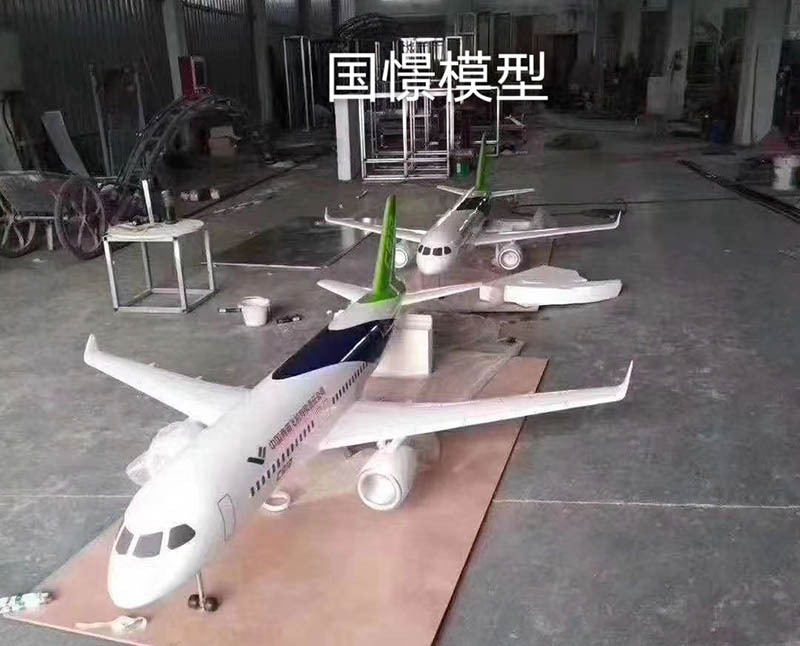 上栗县飞机模型