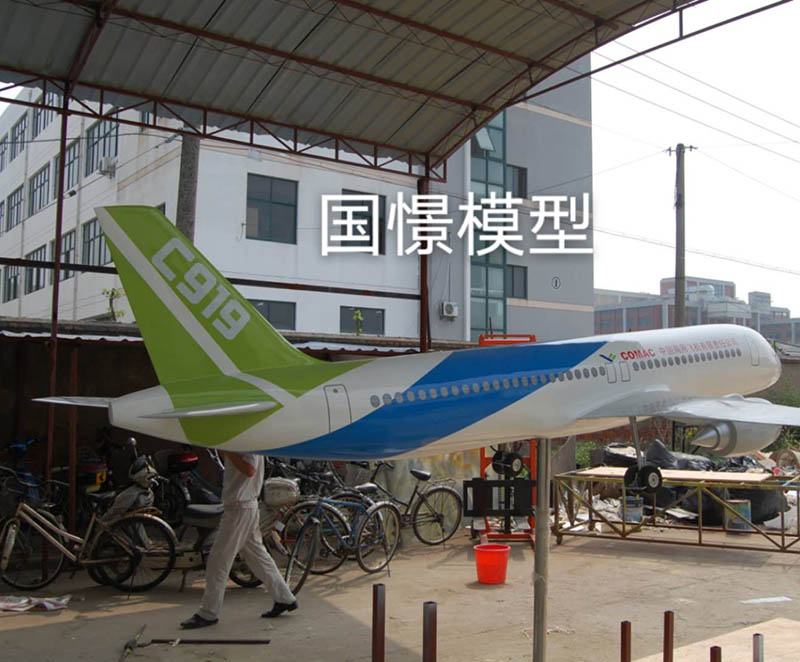上栗县飞机模型